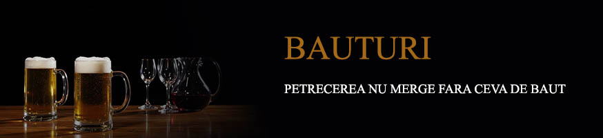 Bauturi